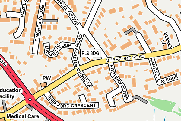 PL9 8DG map - OS OpenMap – Local (Ordnance Survey)