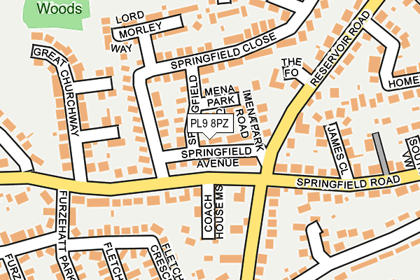 PL9 8PZ map - OS OpenMap – Local (Ordnance Survey)