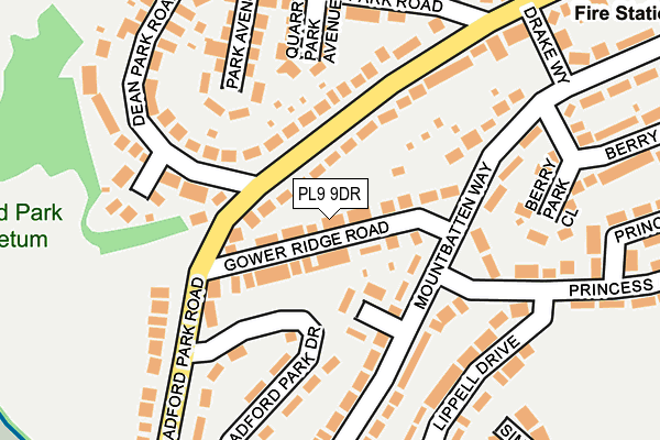 PL9 9DR map - OS OpenMap – Local (Ordnance Survey)