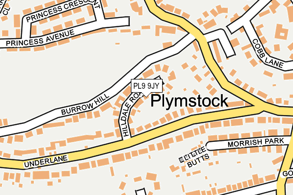 PL9 9JY map - OS OpenMap – Local (Ordnance Survey)