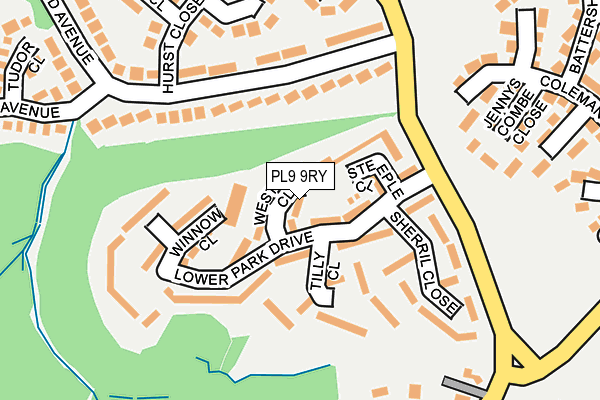 PL9 9RY map - OS OpenMap – Local (Ordnance Survey)
