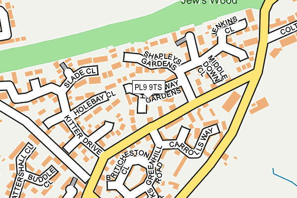 PL9 9TS map - OS OpenMap – Local (Ordnance Survey)