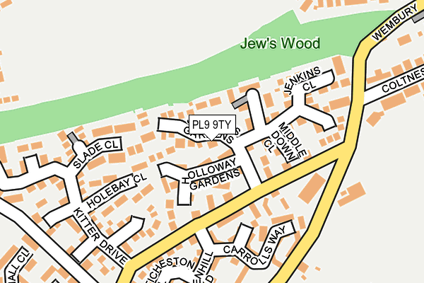 PL9 9TY map - OS OpenMap – Local (Ordnance Survey)