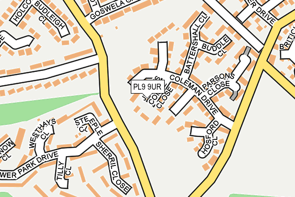 PL9 9UR map - OS OpenMap – Local (Ordnance Survey)