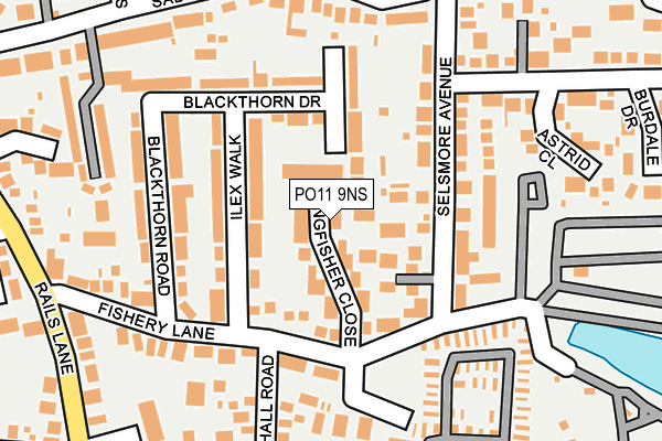 PO11 9NS map - OS OpenMap – Local (Ordnance Survey)