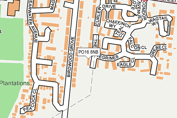 PO16 8NB map - OS OpenMap – Local (Ordnance Survey)