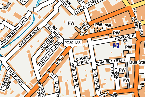 PO30 1AS map - OS OpenMap – Local (Ordnance Survey)