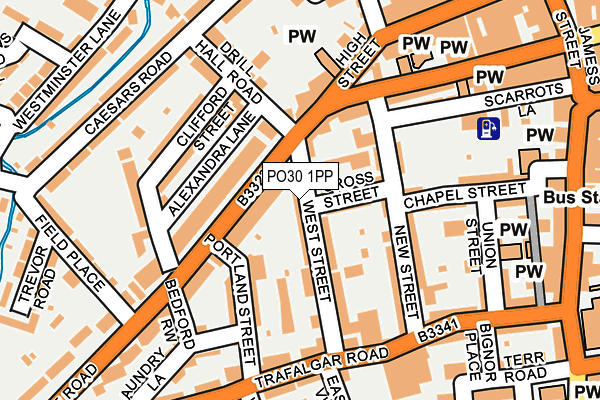 PO30 1PP map - OS OpenMap – Local (Ordnance Survey)