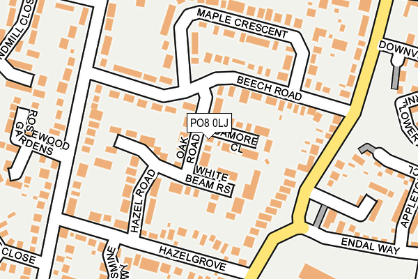 PO8 0LJ map - OS OpenMap – Local (Ordnance Survey)