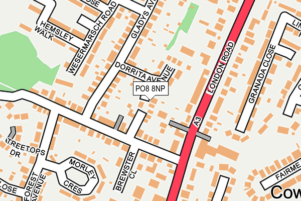 PO8 8NP map - OS OpenMap – Local (Ordnance Survey)