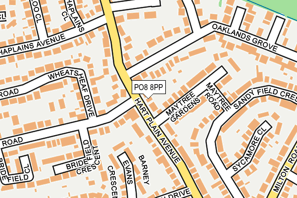 PO8 8PP map - OS OpenMap – Local (Ordnance Survey)