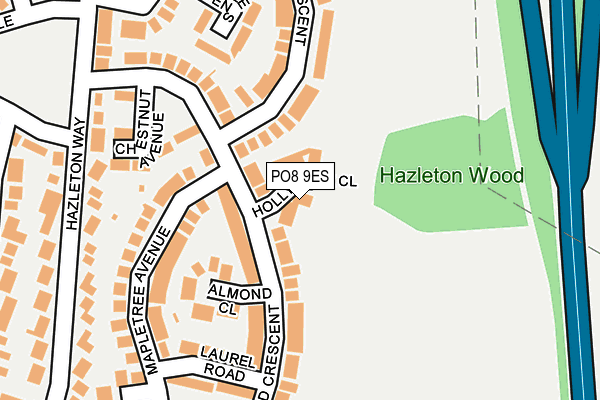 PO8 9ES map - OS OpenMap – Local (Ordnance Survey)