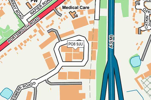 Map of DSC NUTRITION LTD at local scale
