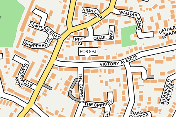 PO8 9PJ map - OS OpenMap – Local (Ordnance Survey)