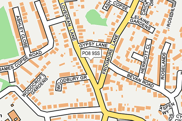 PO8 9SS map - OS OpenMap – Local (Ordnance Survey)