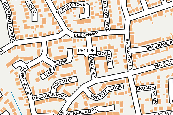 PR1 0PE map - OS OpenMap – Local (Ordnance Survey)