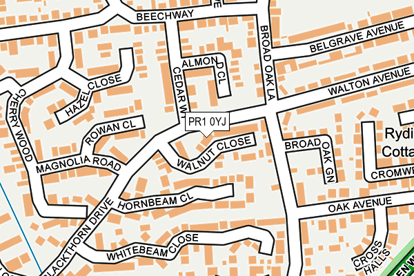 PR1 0YJ map - OS OpenMap – Local (Ordnance Survey)