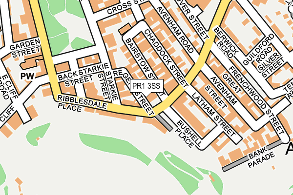 PR1 3SS map - OS OpenMap – Local (Ordnance Survey)