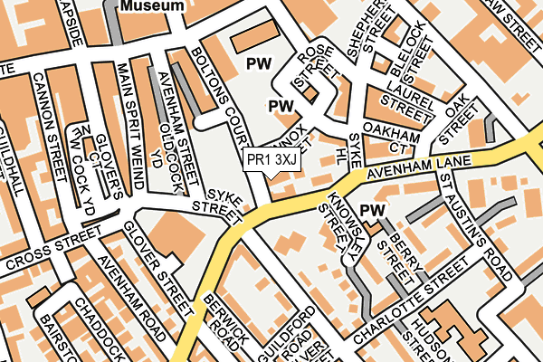 PR1 3XJ map - OS OpenMap – Local (Ordnance Survey)