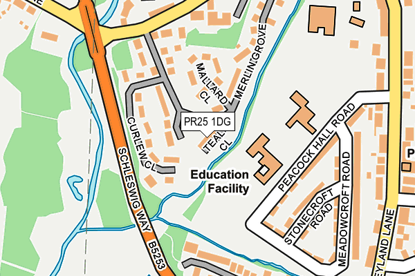 PR25 1DG map - OS OpenMap – Local (Ordnance Survey)