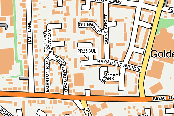 PR25 3UL map - OS OpenMap – Local (Ordnance Survey)