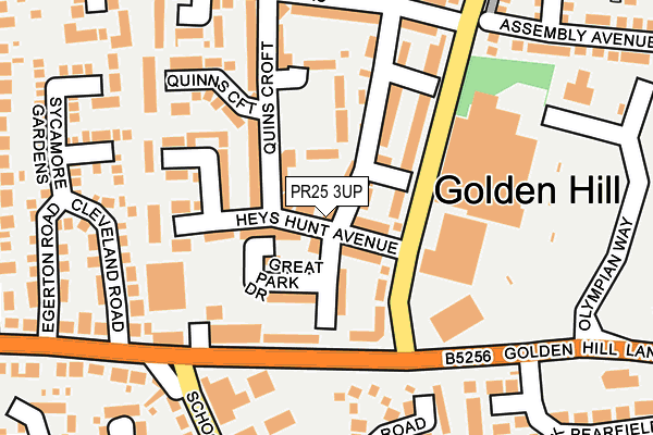 PR25 3UP map - OS OpenMap – Local (Ordnance Survey)