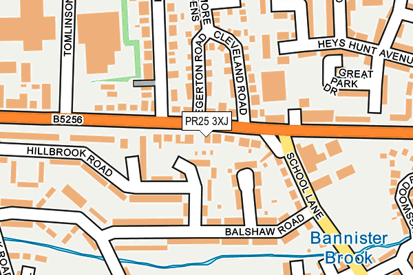 PR25 3XJ map - OS OpenMap – Local (Ordnance Survey)