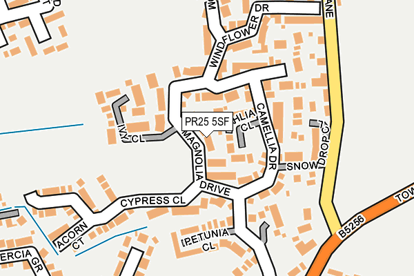 PR25 5SF map - OS OpenMap – Local (Ordnance Survey)