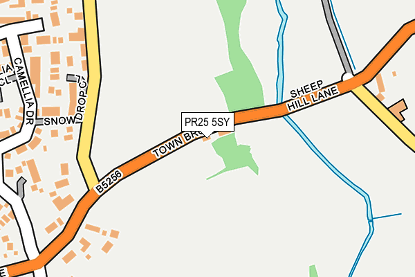 PR25 5SY map - OS OpenMap – Local (Ordnance Survey)