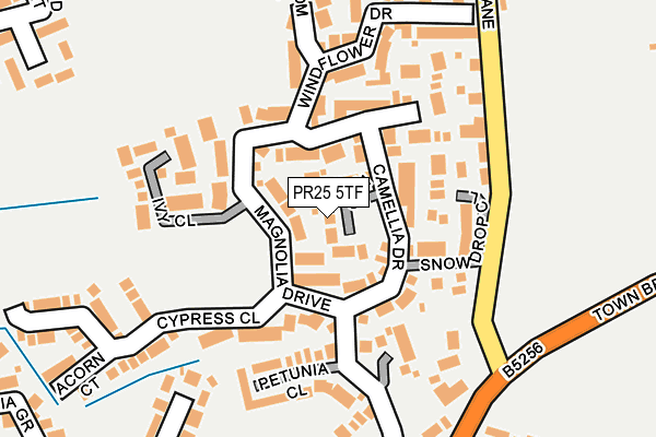 PR25 5TF map - OS OpenMap – Local (Ordnance Survey)