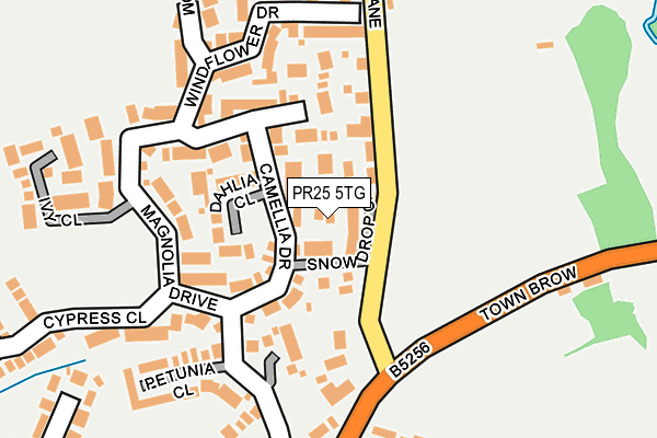 PR25 5TG map - OS OpenMap – Local (Ordnance Survey)