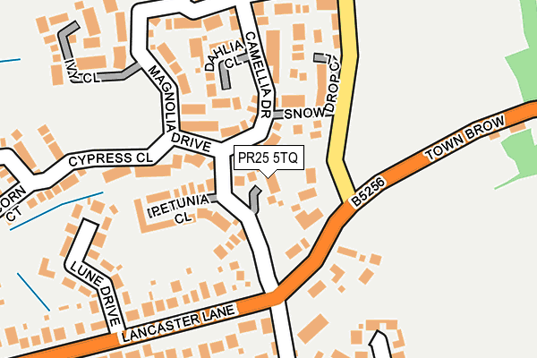PR25 5TQ map - OS OpenMap – Local (Ordnance Survey)