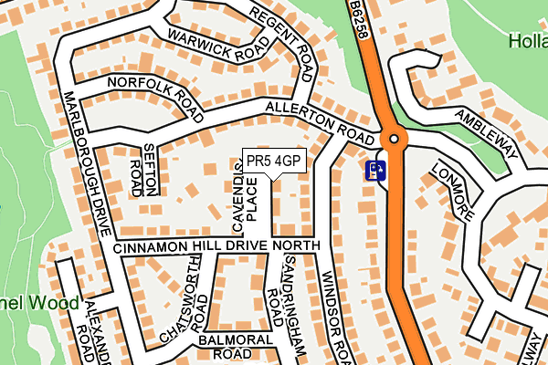 PR5 4GP map - OS OpenMap – Local (Ordnance Survey)
