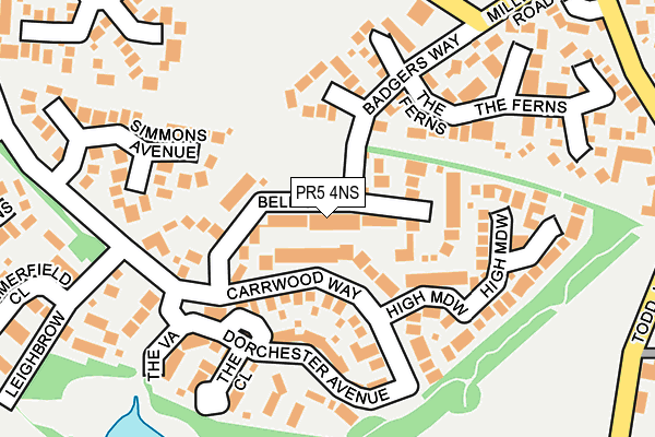PR5 4NS map - OS OpenMap – Local (Ordnance Survey)