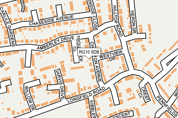 RG10 9DB map - OS OpenMap – Local (Ordnance Survey)