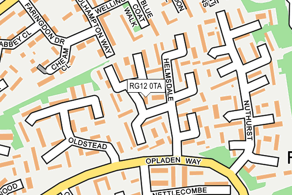 RG12 0TA map - OS OpenMap – Local (Ordnance Survey)