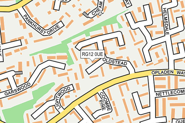 RG12 0UE map - OS OpenMap – Local (Ordnance Survey)