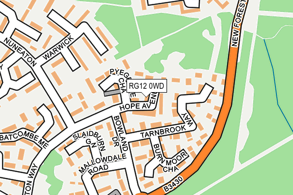 RG12 0WD map - OS OpenMap – Local (Ordnance Survey)