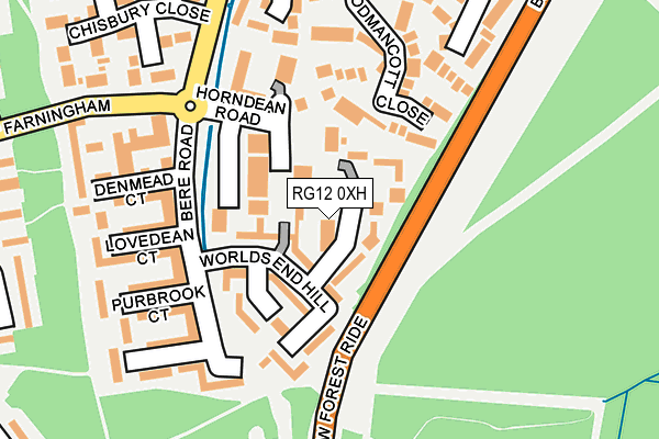 RG12 0XH map - OS OpenMap – Local (Ordnance Survey)