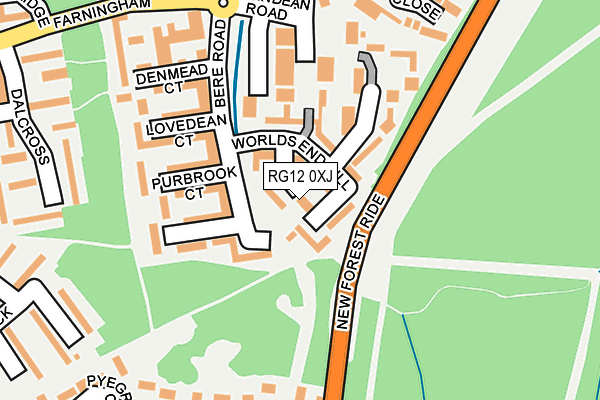 RG12 0XJ map - OS OpenMap – Local (Ordnance Survey)