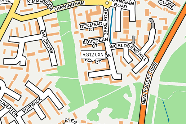 RG12 0XN map - OS OpenMap – Local (Ordnance Survey)