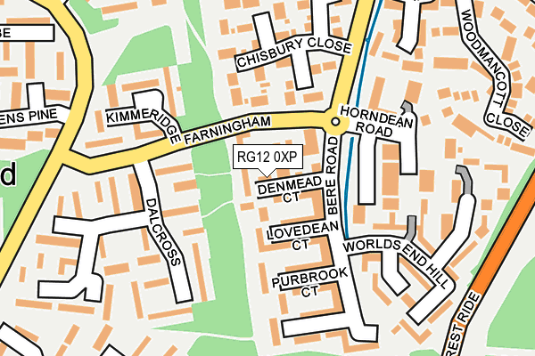 RG12 0XP map - OS OpenMap – Local (Ordnance Survey)