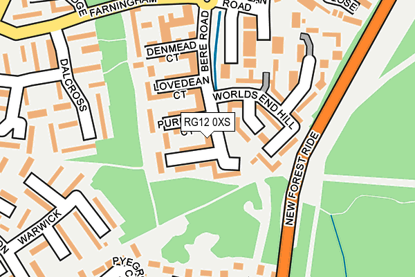 RG12 0XS map - OS OpenMap – Local (Ordnance Survey)