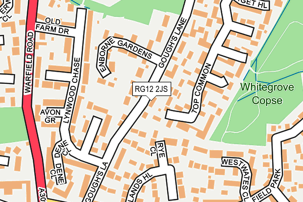 RG12 2JS map - OS OpenMap – Local (Ordnance Survey)