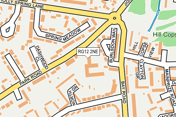 RG12 2NE map - OS OpenMap – Local (Ordnance Survey)