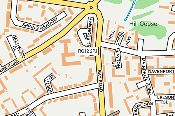 RG12 2PJ map - OS OpenMap – Local (Ordnance Survey)