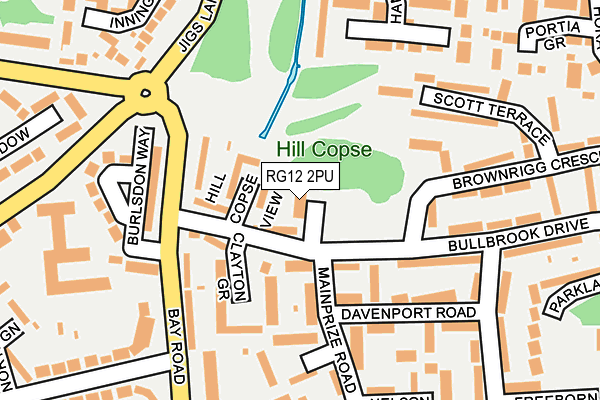 RG12 2PU map - OS OpenMap – Local (Ordnance Survey)