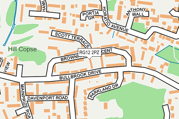 RG12 2PZ map - OS OpenMap – Local (Ordnance Survey)