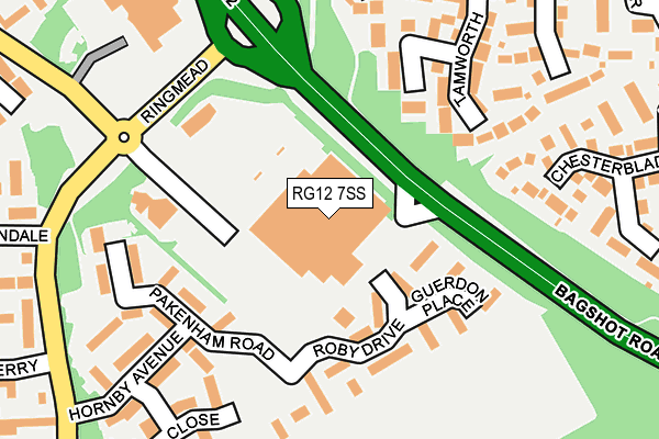 RG12 7SS map - OS OpenMap – Local (Ordnance Survey)
