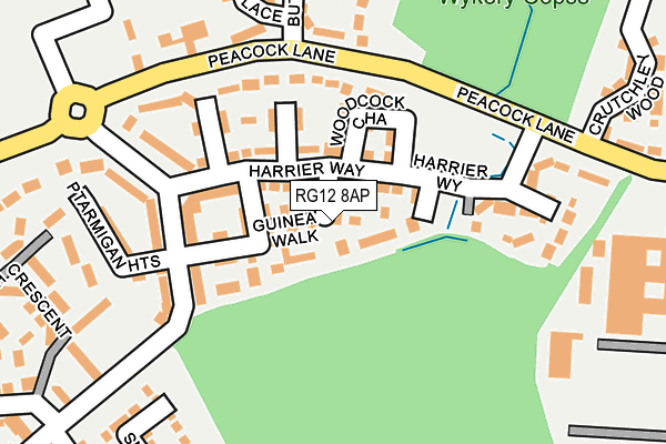 RG12 8AP map - OS OpenMap – Local (Ordnance Survey)